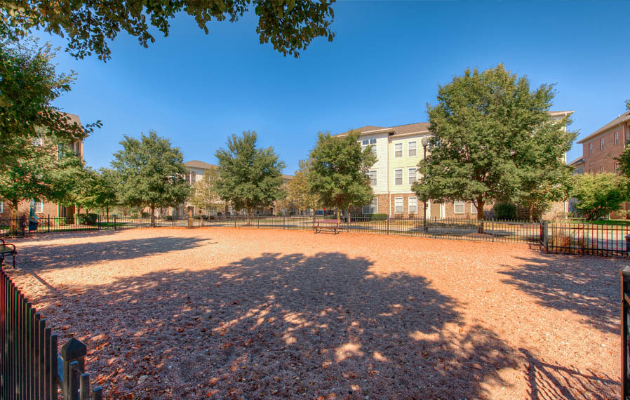 Wide open dog park at Carmel apartments.